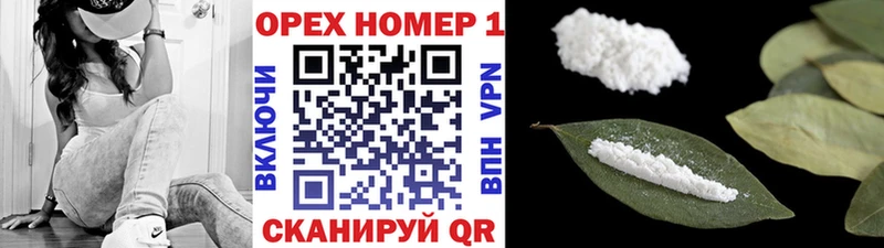 Купить где  Асино  COCAIN FishScale 