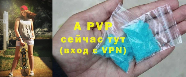 трава Карпинск