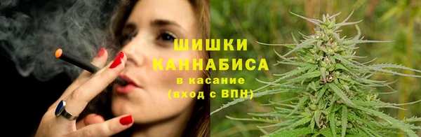 трава Карпинск
