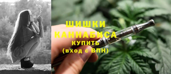 PSILOCYBIN Карталы