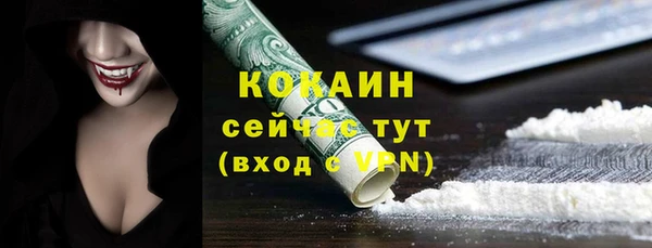 трава Карпинск