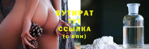 трава Карпинск