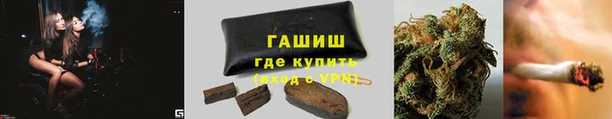 PSILOCYBIN Карталы
