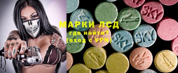 трава Карпинск