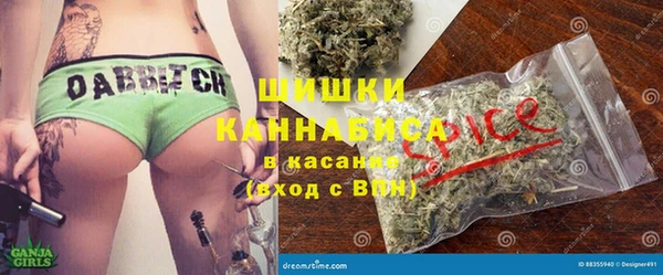 PSILOCYBIN Карталы
