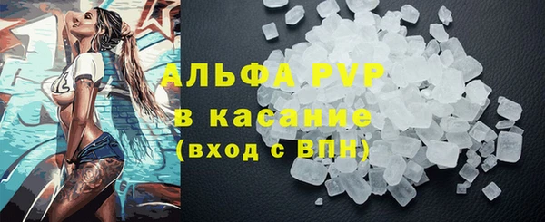 PSILOCYBIN Карталы
