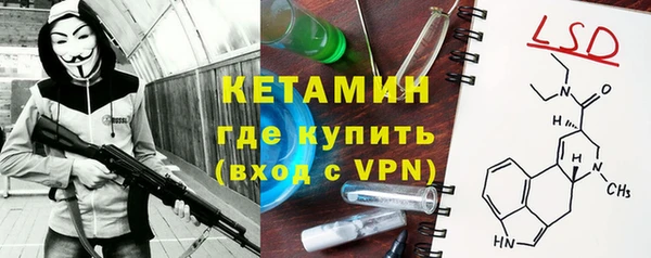 трава Карпинск