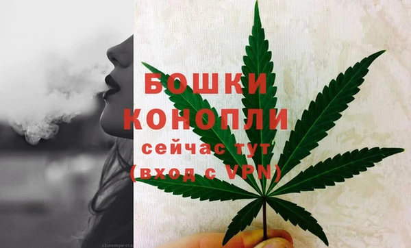 PSILOCYBIN Карталы