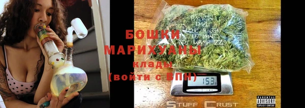 трава Карпинск