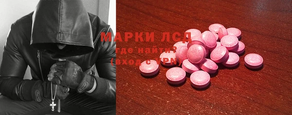 трава Карпинск