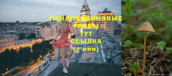 трава Карпинск
