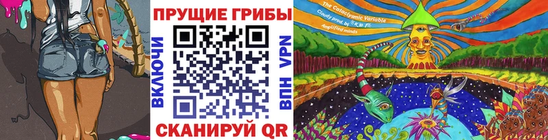 Купить закладки  Асино  Галлюциногенные грибы ЛСД 